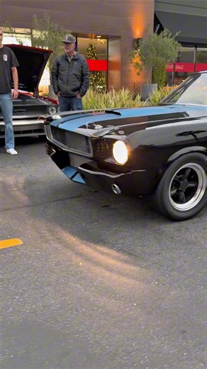 Powerful Sound of the Ford Mustang