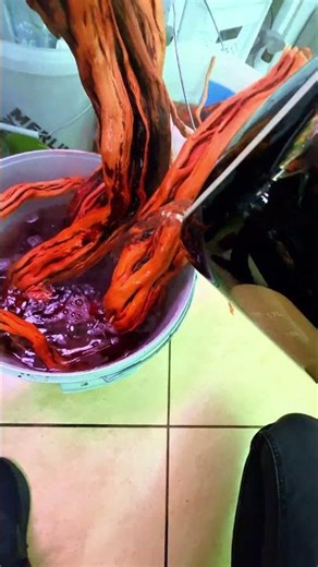 🌿 Mój sposób na przygotowanie korzeni do akwarium #aquascape #planetaquarium #aquarium