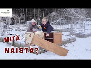 Ideat kukkii talvellakin – mitä näistä oikein syntyy?