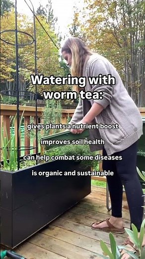Worm tea feeds your soil and your plants, and you can make it at home! 🪱🫖