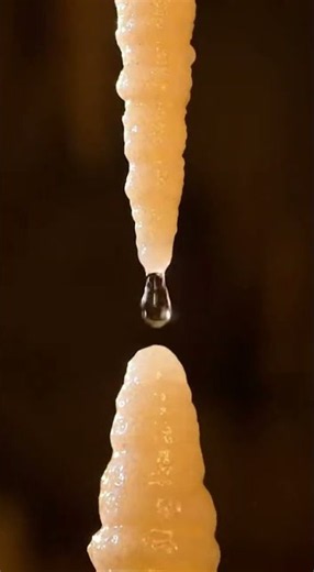 Mesmerizing Fluid Dynamics: Liquid Droplets in Motion 💧