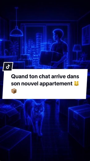 ❤️ Pour ton chat, un déménagement signifie perdre tous ses repères… mais avec du temps, des odeurs familières et un espace sécurisé, il peut peu à peu se sentir chez lui. 🐾🏠 #comportementchat #comprendretonchat #chat #demenagement