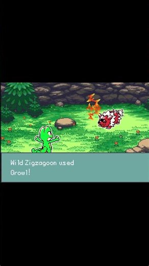 POV: THE UNCATCHABLE SHINY ZIGZAGOON! #pokemon #meme #nintendo