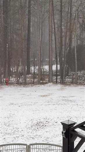 My faith, the evidence of things not seen and substance of things hope for, has manifested. Do you see it too! ❄️🙌❄️🙌❄️🙌❄️🙌 | Daniel Evans