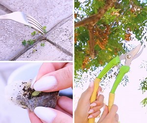 23K views · 110 reactions | Brilliant gardening hacks | Creativo UK | Facebook