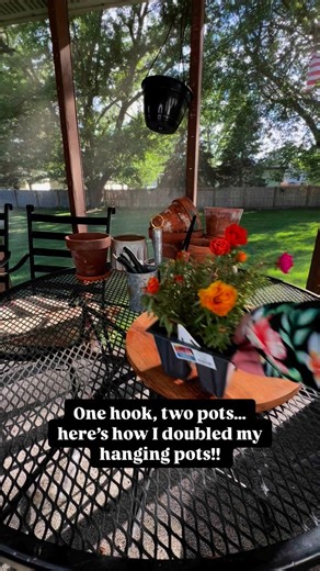 I turn one hanging basket into a two-pot setup using rose moss, also known as Portulaca. This plant is perfect for bright, sunny spots and brings a vibrant pop of color all season long. Light: Needs full sun to bloom well—aim for 6 or more hours daily. Water: Allow the soil to dry out completely between waterings. It’s drought-tolerant but won’t tolerate soggy soil. Soil: Use well-draining soil, like a cactus or succulent mix. Maintenance: Pinch off spent flowers to encourage continuous blooming