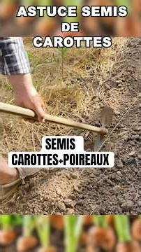 ASTUCE pour semer des carottes et des poireaux ! #jardinage #Jardin #potager #nature #carotte