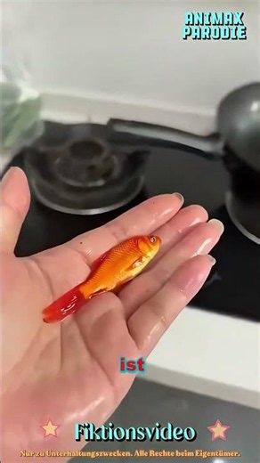 Where should this water creature live🫧 🐠 🪸 #aquarium #pets #animalovers #story #heartwarming