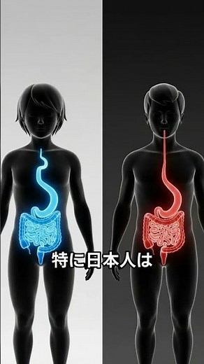 ピロリ除菌は危険？逆流性食道炎とバレット腺癌の真実を解説