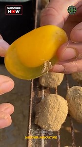 872K views · 383 reactions | Egg storage technology has evolved...