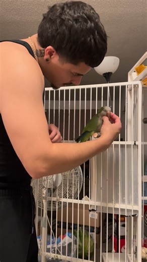 Junior🦜 on Instagram: "I hate him but I love him 🙄💙"