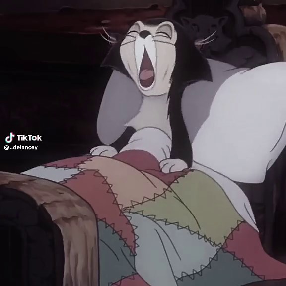 Figaro and Pinocchio Cartoon Song