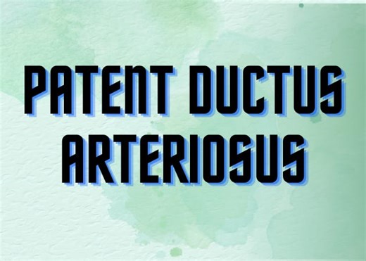 PDA: Seeing the Flow