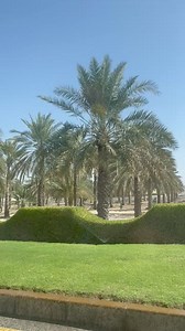 8.7K views · 698 reactions | Sultan Qaboos University. | Ibrahim Musa | Facebook