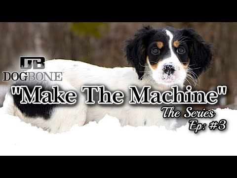 Pointing Dog Training YouTube: "Make the Machine" | Ep: #3