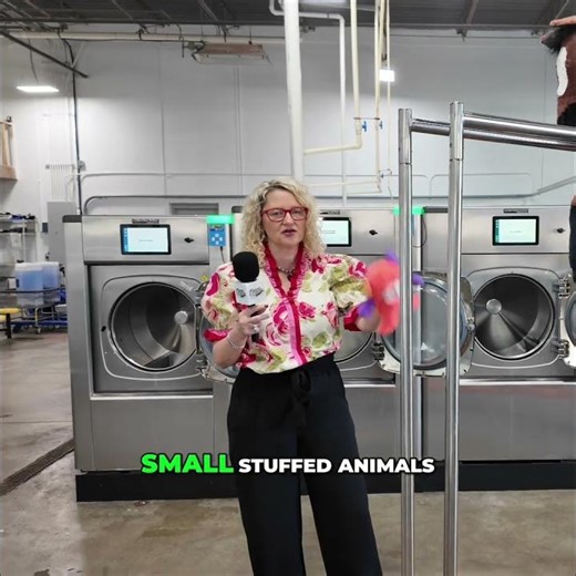 We Wash Stuffed Animals! Expert Cleaning Service Explained