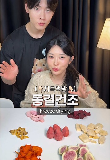 동결건조 과일과 야채 먹방