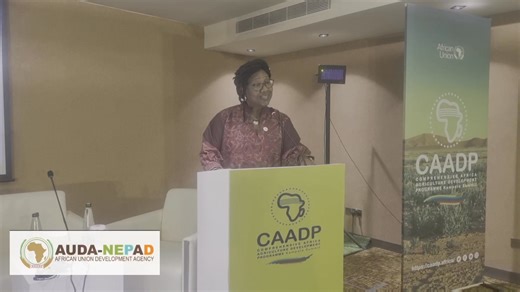 Inclusive & Resilient Agriculture Takes Center Stage at the CAADP Kampala Summit: Unveiling Tools to Drive the CAADP Post-Malabo Agenda with the Food Systems Guidelines! #Agenda2063 | AUDA NEPAD | Facebook