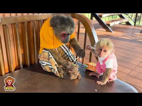 Why does YoYo Jr need surgery? Yuli helps dad get milk for YoYo Jr.