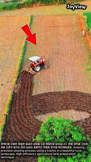 트랙터로 만드는 농작물 경지 | Tractor Soil Preparation #worker #process #agriculture #farming #satisfying