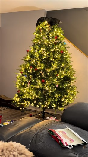 Rupert: The Star of Christmas