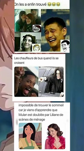 Understanding Humor in French Meme Culture