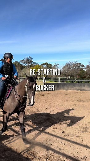 Training a Bucking Horse: Restarting a Clever Filly | Equestrian Vlog