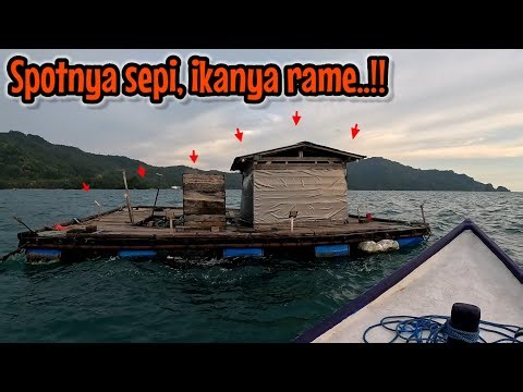 MOMEN YANG SANGAT LANGKA ‼️ IKAN RAME RUMAH APUNGNYA PAS SEPI ALHASIL PANEN BESAR