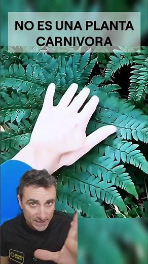 It's not a carnivorous plant. #didyouknow #survival #funfacts