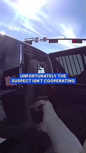 Naughty goat gets detained by cop on highway