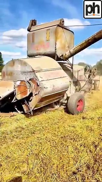 Field work with a Massey 165 & CLAAS