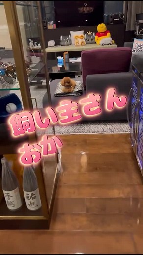 手越祐也のおたく文化を楽しもう