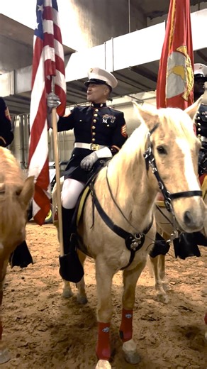 11K views · 105 reactions | Today's Minute of Service shines a spotlight on the United States Marine Corps Mounted Color Guard at the San Antonio Rodeo. #USMC #colorguard #mentalhealth #stablemen #prideincountry Marine Corps Mounted Color Guard San Antonio Stock Show & Rodeo | Grunt Style | Facebook