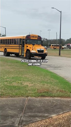 2025 bluebird vision Diesel