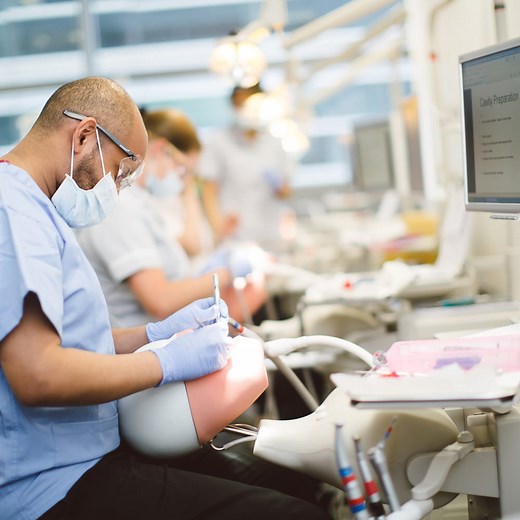 BSc (Hons)  Oral Health Science Degree | University of Essex