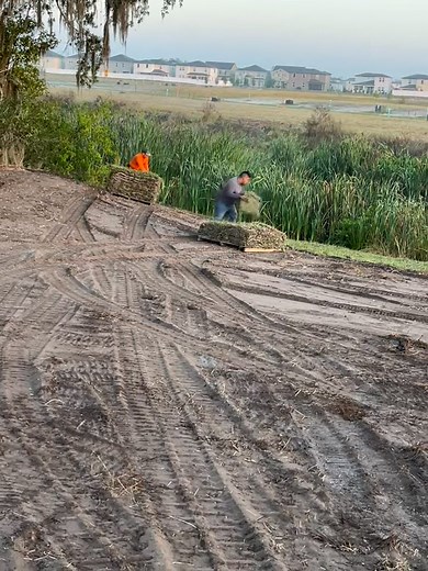 Happy Sunday from Local Sod Local Sod and Landscape 386-848-2531 Commercial Sod Installer •We answer •We show •We sod | David Cole