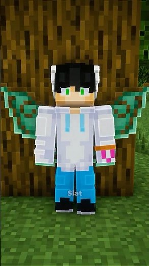 Minecraft Mess With My Friends = 💀