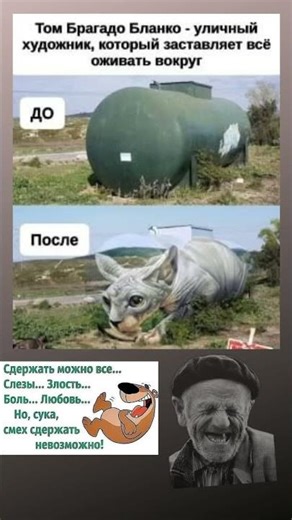 #мем#смехпродлеваетжизнь#прикол#смешновидео#смех#юмор#рек#ржака