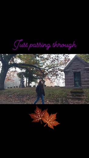 3.2K views · 140 reactions | Marlena Midnite - your host #horrorhostess #broadcast #television #autmnvibes #horrorhost #goth #gothgirl #creaturefeature #monstermovie #siucarbondale #capegirardeau #paducah #quincyil #OlneyIL #carbondale #Springfield #vampire #monster #creature | Midnite Mausoleum | Facebook