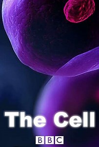 The Cell (2009) - TV Show