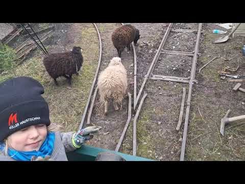 Gleisbaustelle mit Probefahrt mit der Diesellok 