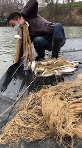 Catching Fish Using Cast Net Fishing / Net Catch Fishing 🐠🐠#Reels #fishing #skill #castnetfishing | Daily Discovery