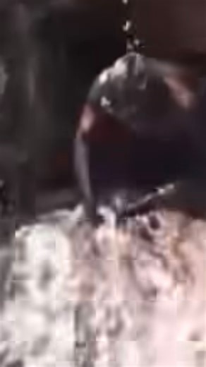 Alien Factor Media on Instagram: "A hidden creature captured unexpectedly, which happens more than people would imagine!?! And then the ones in the know say, it’s AI generated or it’s a fake video which in reality it’s 100% authentic!!! Reposted #TheAlienFactorMediaWorldwide #HiddenUnknownCreature #UnexpectedlyRecorded #UnknownCountry #WeHaveNeverBeenAlone ______________________________________________________________________________________ Also, please follow my friends @suite2a for all your k