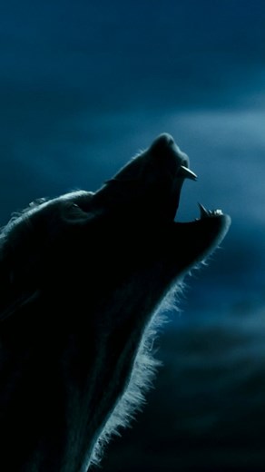 Harry Potter | trying to perfect our werewolf howls in time for halloween like – | Instagram