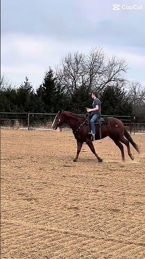 My riding has gotten so much better!!