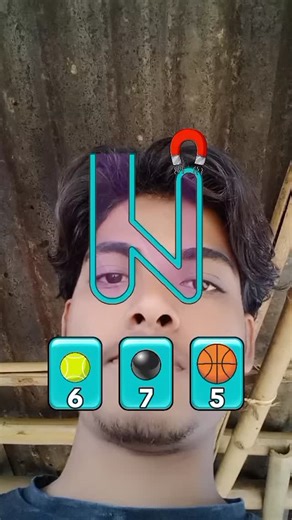 @zebra.96491 on Instagram: "Fill the ball IQ"