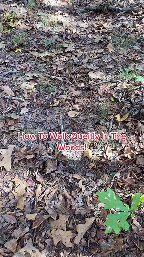 How To Walk Quietly In The Woods - Expert Stealth Techniques Revealed