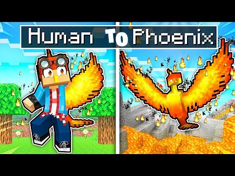 From HUMAN To PHOENIX in Minecraft!