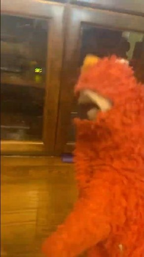 elmo world up and down quiz