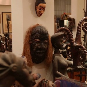 33K views · 474 reactions | Have a glimpse into the fascinating world...